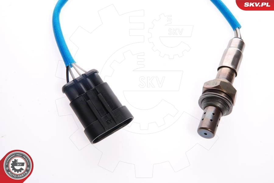 Oxygen Sensor